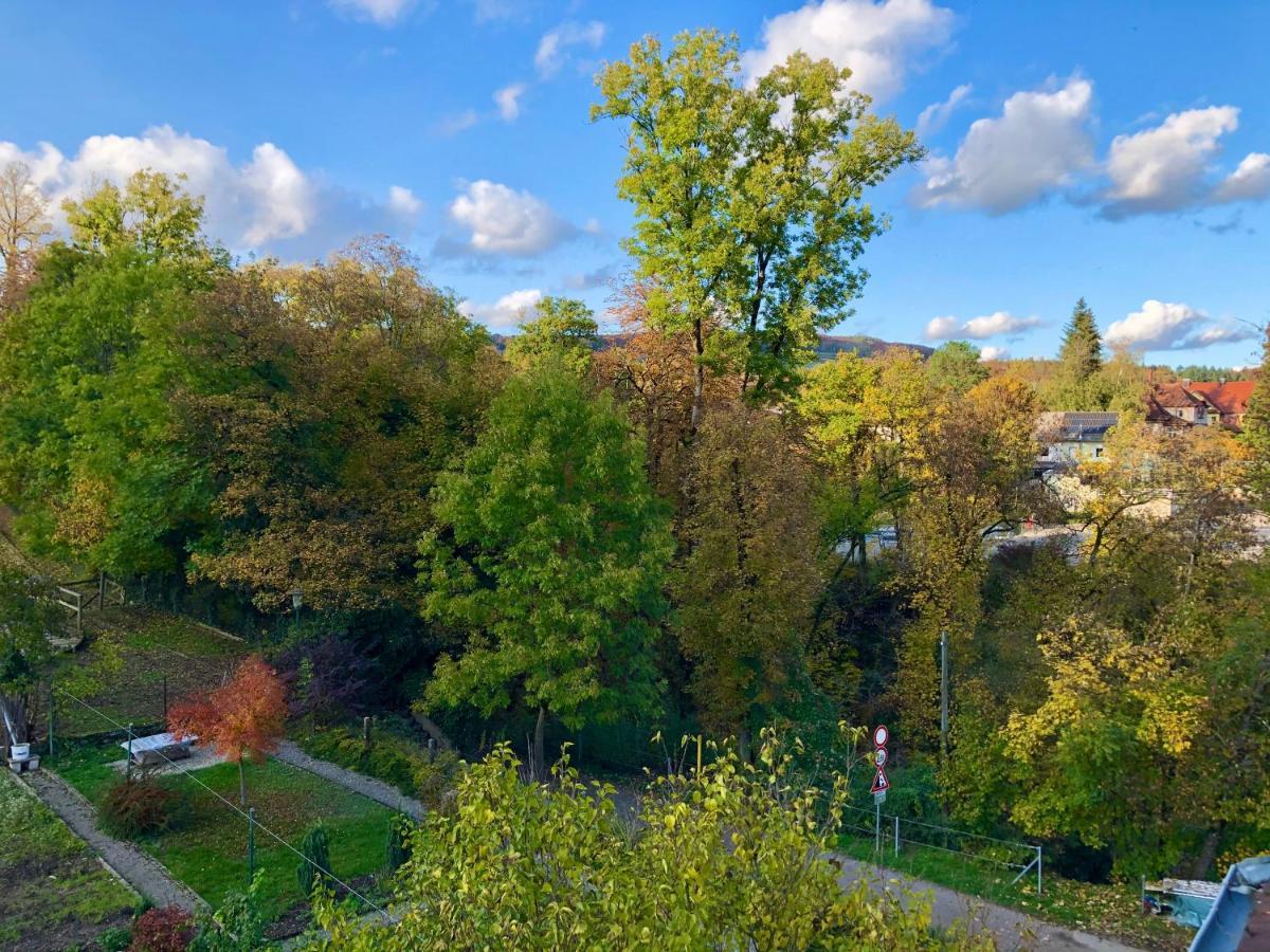 Ferienwohnung Im Gruenen Auf Idyllisch Gelegenen Gutshof Und Doch So Zentral Waldshut-Tiengen Exterior photo